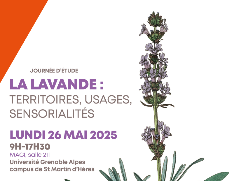 JOURNEE LAVANDE