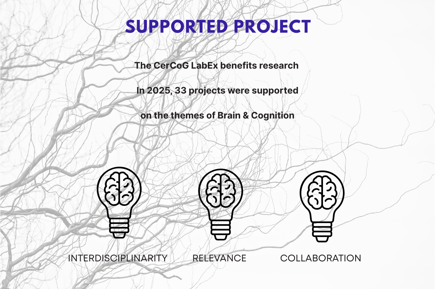 Discover all our projects supported in 2025