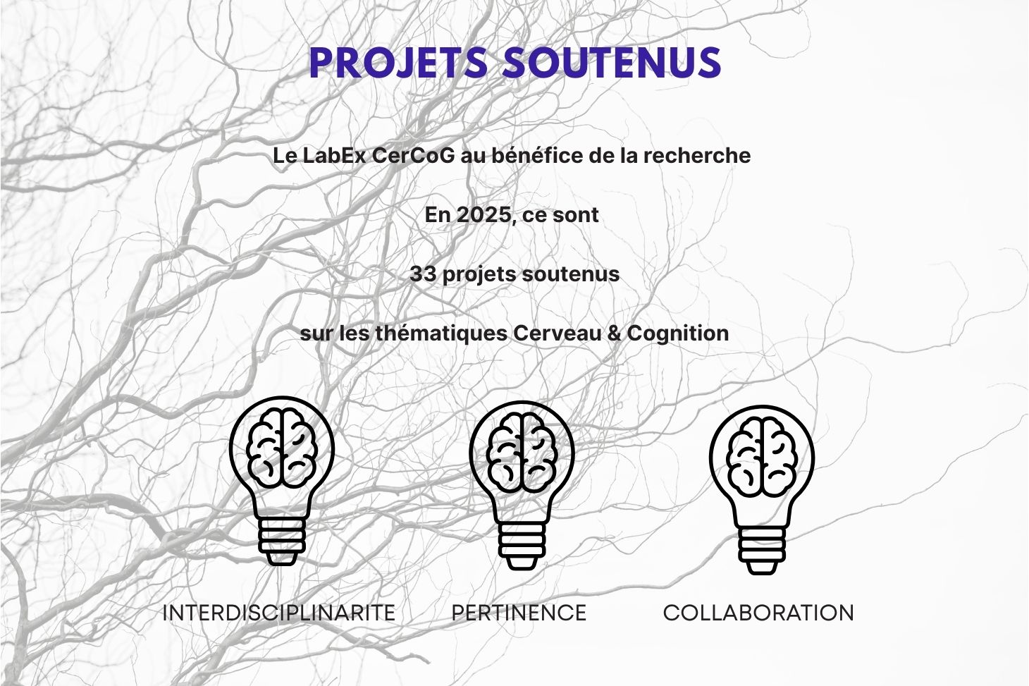 Découvrez tous nos projets soutenus en 2025